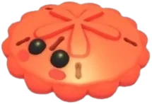 Red Sand Dollar