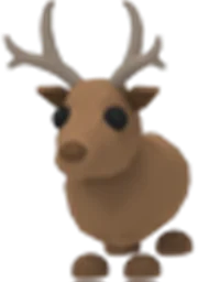 Reindeer