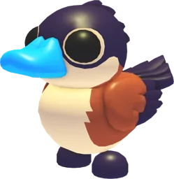 Ruddy Duck