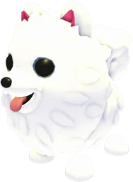 Samoyed