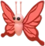 Scarlet Butterfly