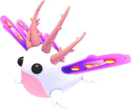 Sea Slug
