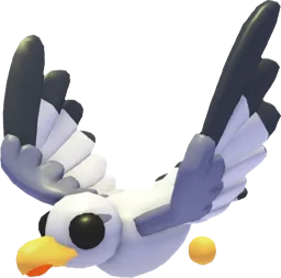 Seagull