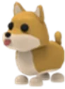 Shiba Inu
