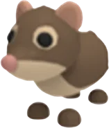 Shrew