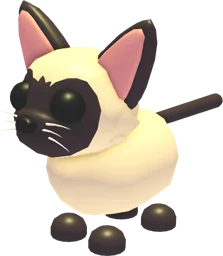 Siamese Cat