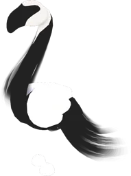 Slimingo