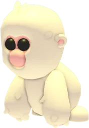 Snow Monkey
