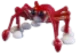 Spider Crab