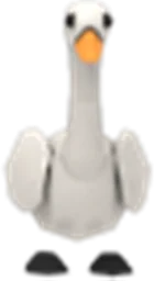 Swan