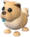 Tan Chow-Chow
