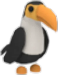 Toucan