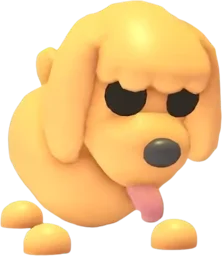 Toy Poodle