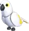 White Amazon