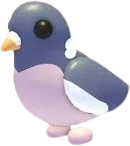 Wood Pigeon