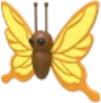 Yellow Butterfly