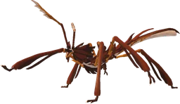 Cimidstik