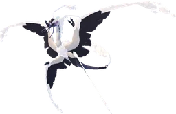 Halaqual