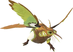 Kiiwin