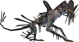 Tsugae