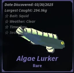 Algae Lurker in Fisch