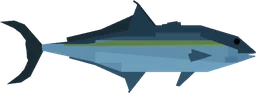 Amberjack