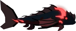 Black Dragon Fish in Fisch