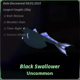 Black Swallower in Fisch