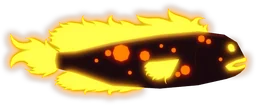 Blisterback Blenny