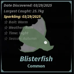 Blisterfish in Fisch