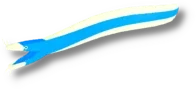 Blue Ribbon Eel