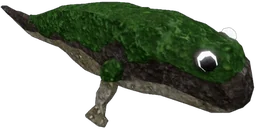 Bog Skulker in Fisch