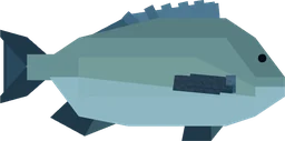 Bream in Fisch
