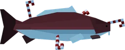 Candy Cane Carp in Fisch