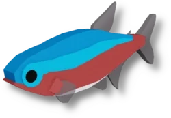 Cardinal Tetra in Fisch