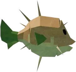 Carrot Pufferfish in Fisch