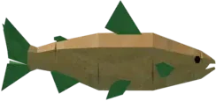 Carrot Salmon in Fisch