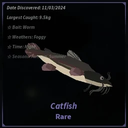 Catfish in Fisch