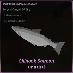 Chinook Salmon