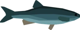 Chub in Fisch