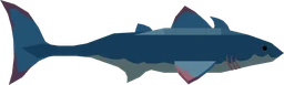 Cladoselache in Fisch