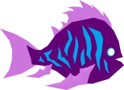 Coral Chromis in Fisch