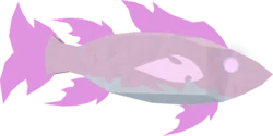 Crystal Wrasse in Fisch