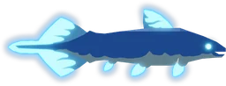Diplurus in Fisch