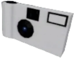 Disposable Camera