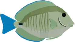 Doctorfish Tang