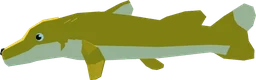 Dogefin in Fisch