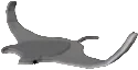Dustveil Ray in Fisch