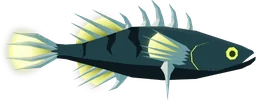 Eldritch Spineback in Fisch