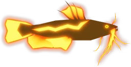 Ember Catfish in Fisch